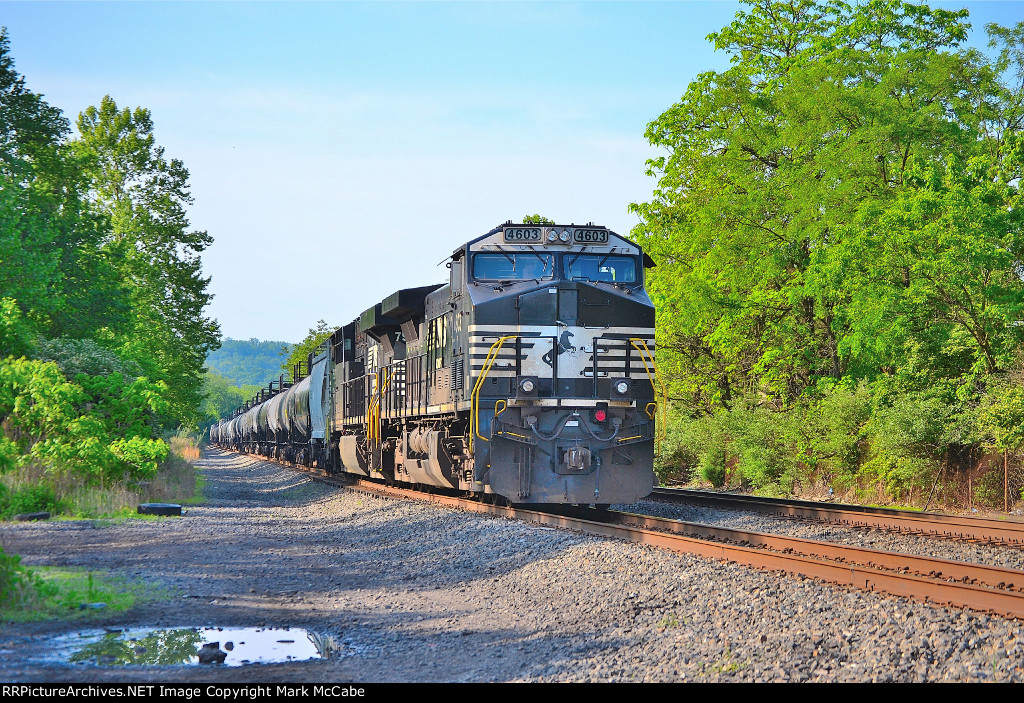 NS H86